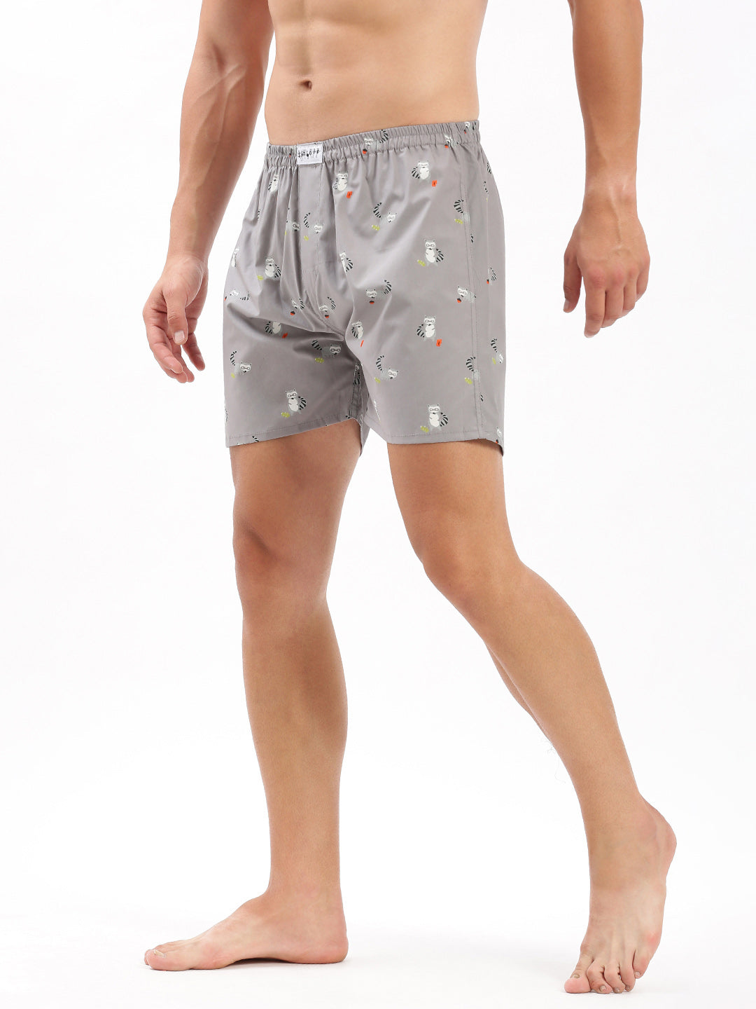 Men Printed Grey Boxer