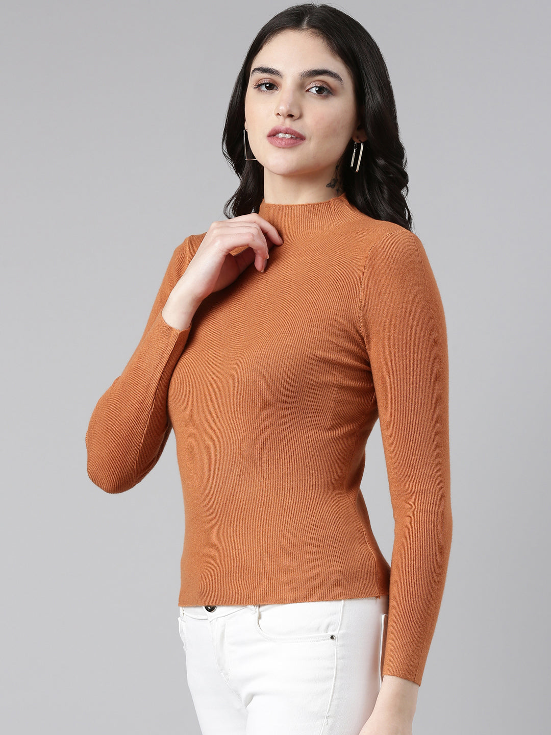 High Neck Solid Regular Sleeves Fitted Camel Brown Top